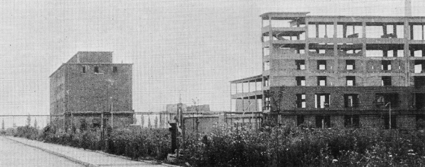 Fot. 1. Rok 1951 – tak wyglądał dzisiejszy wydział włókna ciętego „Depolana”.